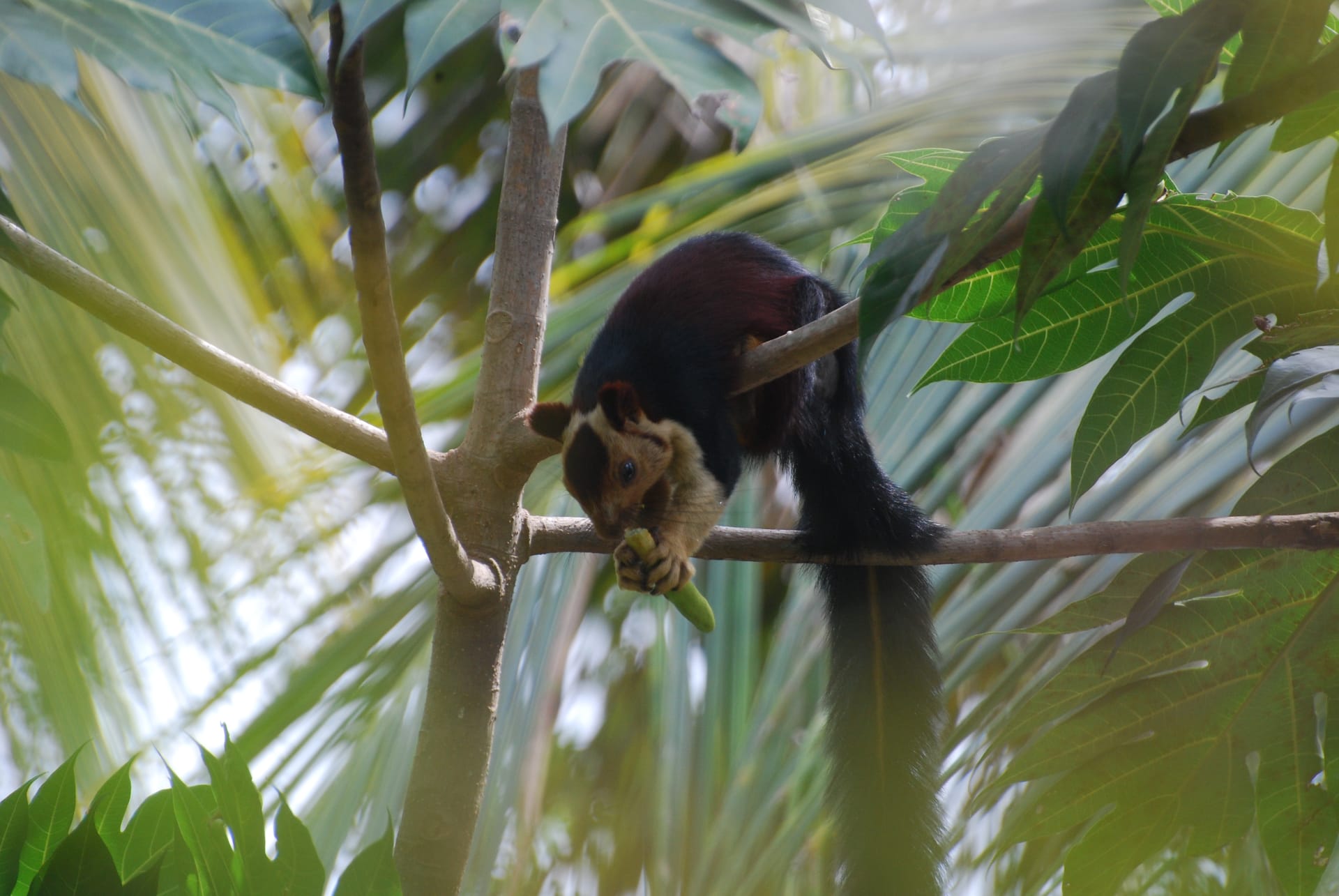 Community Spirit Connect With The Warm And Welcoming Local Community